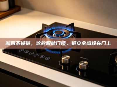 断网不掉链，这款智能门锁，把安全感焊在门上