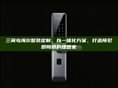 三翼鸟海尔整装定制，以一体化方案，打造所见即所得的理想家