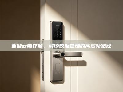 智能云端存储，解锁数据管理的高效新路径