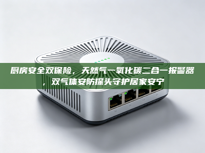 厨房安全双保险，天然气一氧化碳二合一报警器，双气体安防探头守护居家安宁